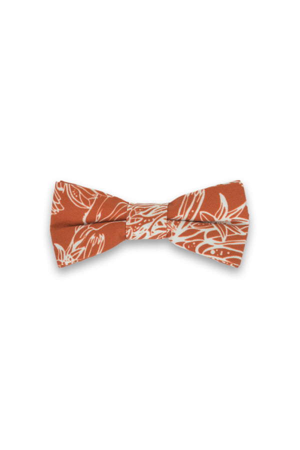 Kids Bow Tie - Kangaroo Paw Burnt Orange