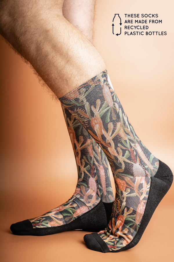 Soft and durable socks crafted from recycled bottles, showcasing detailed Grass Tree motifs against a stark black background